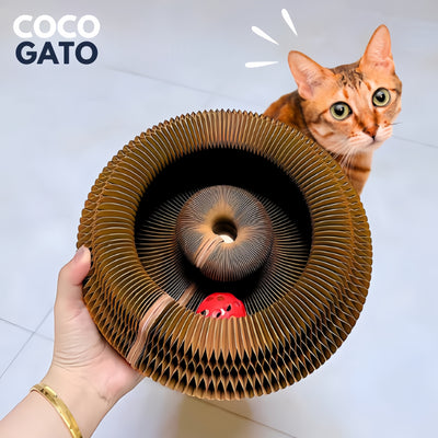CocoGato
