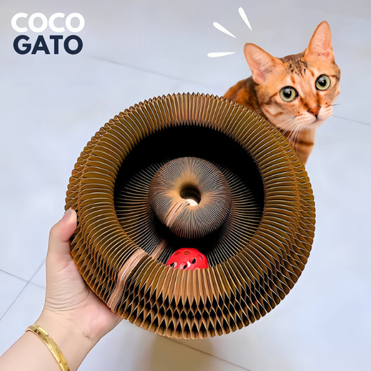 CocoGato
