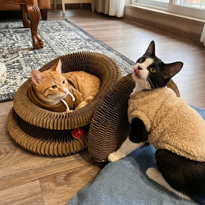 CocoGato