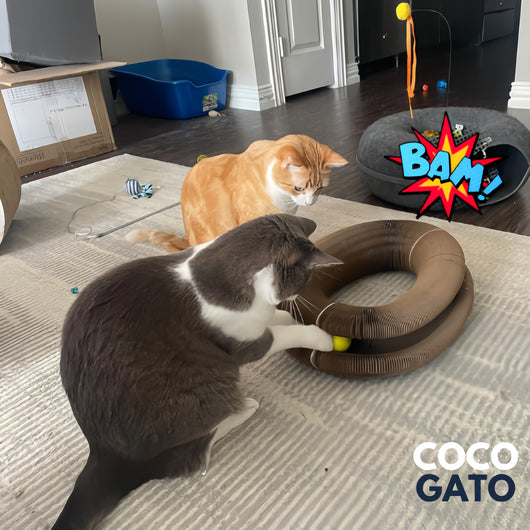 CocoGato