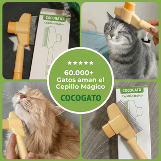Cepillo Mágico CocoGato