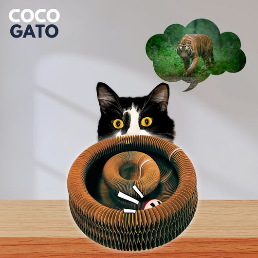 CocoGato