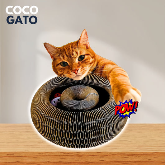 CocoGato