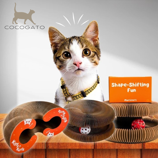 CocoGato