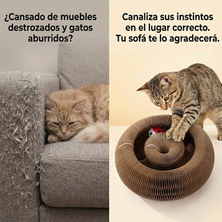 CocoGato