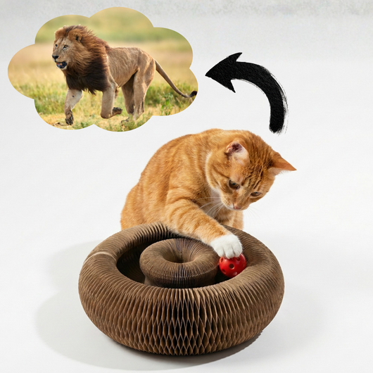 CocoGato