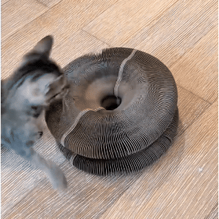 CocoGato