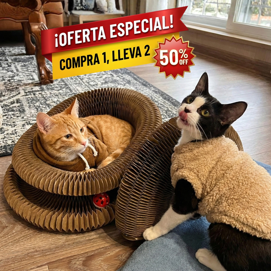 CocoGato