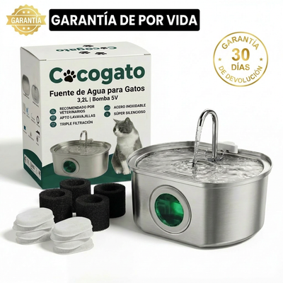 cg-g-box