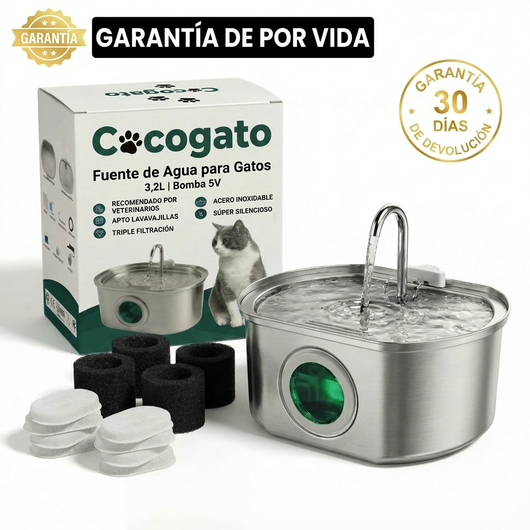 cg-g-box