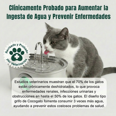 cg-g-clinical