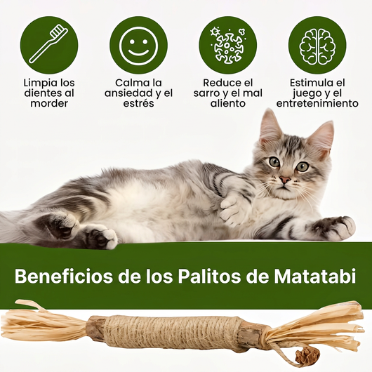 Beneficios de los palitos de matatabi